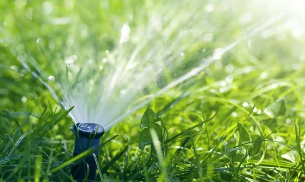 AB 356 Water Bill